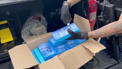 Operação policial apreende cerca de 20 kg de cocaína e armas em Feira de Santana