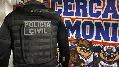 tORCIDA ORGANIZADA