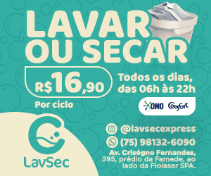LAVSEC 300X250