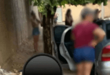 mortos